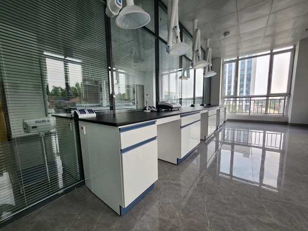 鋼木實驗臺批發